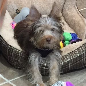 Meet your Posher, Patricia